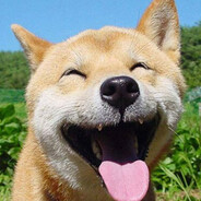 verona.gr - steam id 76561198864516084