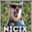 Nicix