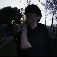 能否带我去流浪