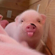 Пельмени ( без 2-ух