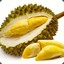 DURIAN