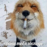тестикулярный аппарат
