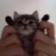 muu_636