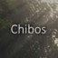 Chibos