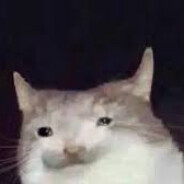 \_(^_^)_/ Gadout32 \_(^_^)_/