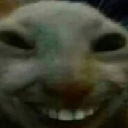 meaf