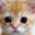 Wrex avatar