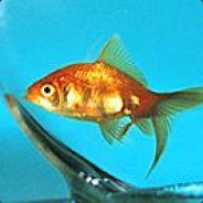 a tiny fishie's avatar