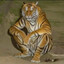 Tiger 3 Topora