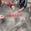 C_zhong