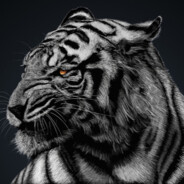 W1ENCE - steam id 76561197961391128