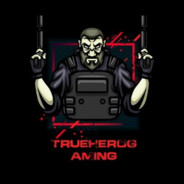TRUEHEROGAMING