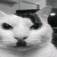 Mr_pisunok