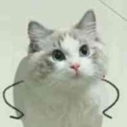 冷冰凝爱语梦翠霜