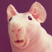 Ганс Шмульке