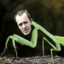 Stannis the Mantis