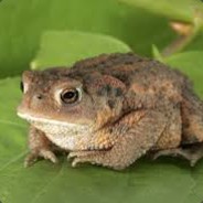 шо с Eбалом???