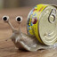 Mc_SnailCanned