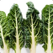 Commonbeet