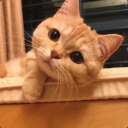 ~圣人惠天下第一~！