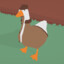 luckyygoosee