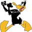 Daffy