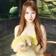 想吃芝士味蛋挞