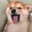 小澈