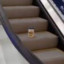 Mayonnaise On An Escalator