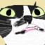 Cat-hair