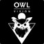 Owlvision