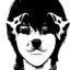shio gil