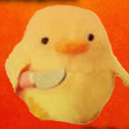 NIRBI87