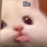 Роза Сябитова