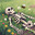 The Grumbleskull