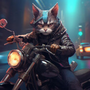 Rider_Kywy