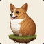 Corgi