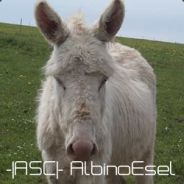 neuen ACC  >>> freak2707