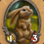 Bunnyhoppor