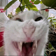 лоутору строджу