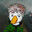 I_First_Goose_I