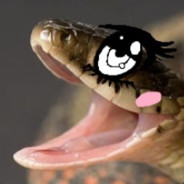 Half A Can Of Springy Snakes