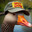 A Silly Goose