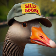 A Silly Goose