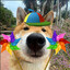 tofuchanjr