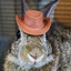Spunkmeyer avatar