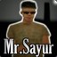 Mr.Sayur