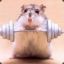 All Powerful Hamster