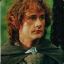 Peregrin Took