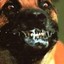 Rabid Dog